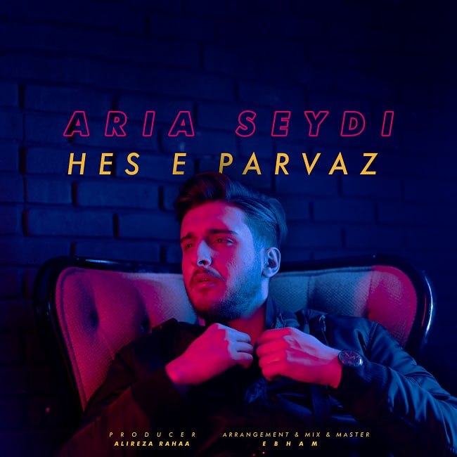 دانلود آهنگ آریا صیدی حس پرواز